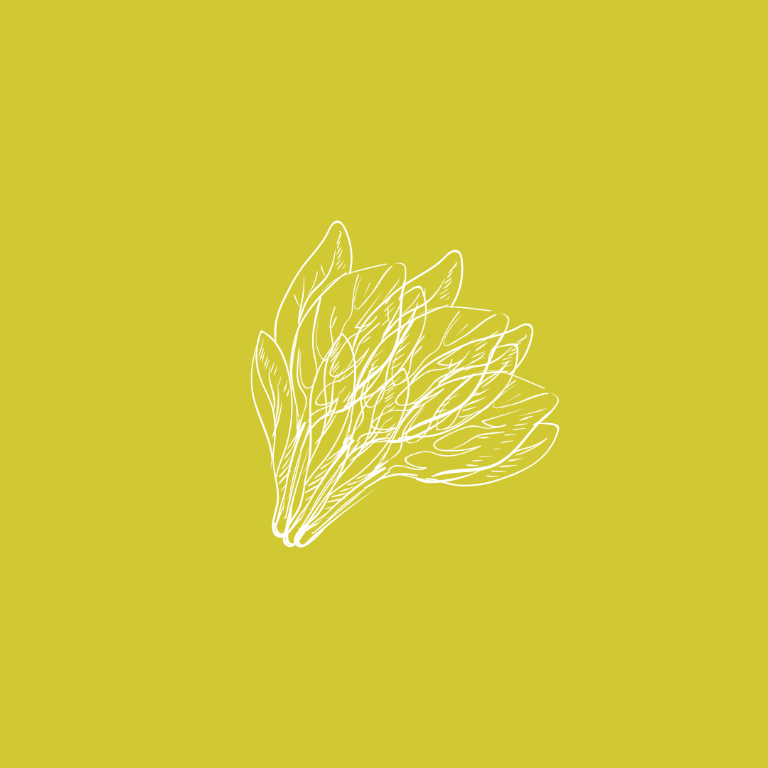 Holiday Special Frozen Unbaked Haitian Patties: Regular Size. One Dozen. Choose Flavor